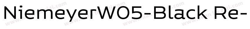 NiemeyerW05-Black Re字体转换